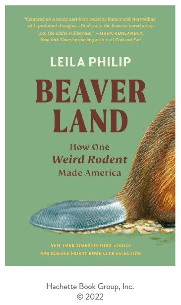 Picture of the book cover for Beaver Land